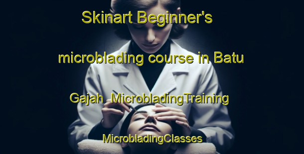 Skinart Beginner's microblading course in Batu Gajah | #MicrobladingTraining #MicrobladingClasses #SkinartTraining-Malaysia