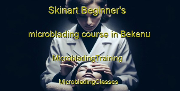 Skinart Beginner's microblading course in Bekenu | MicrobladingTraining | MicrobladingClasses | SkinartTraining-Malaysia
