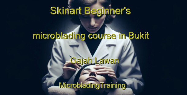 Skinart Beginner's microblading course in Bukit Gajah Lawan | #MicrobladingTraining #MicrobladingClasses #SkinartTraining-Malaysia