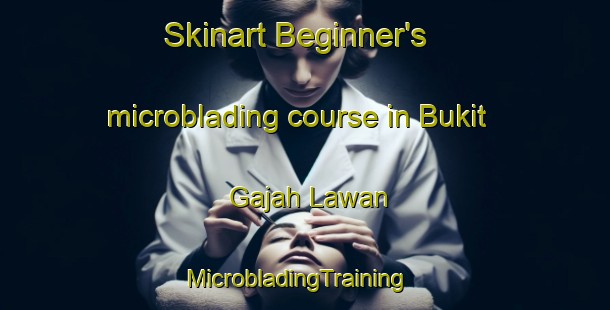 Skinart Beginner's microblading course in Bukit Gajah Lawan | MicrobladingTraining | MicrobladingClasses | SkinartTraining-Malaysia
