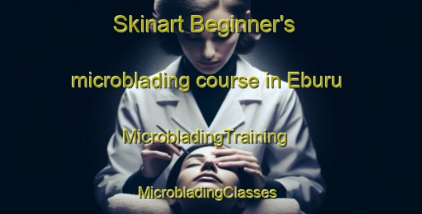 Skinart Beginner's microblading course in Eburu | MicrobladingTraining | MicrobladingClasses | SkinartTraining-Malaysia
