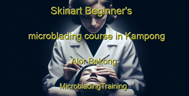 Skinart Beginner's microblading course in Kampong Alor Bekong | #MicrobladingTraining #MicrobladingClasses #SkinartTraining-Malaysia