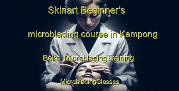 Skinart Beginner's microblading course in Kampong Baka | #MicrobladingTraining #MicrobladingClasses #SkinartTraining-Malaysia