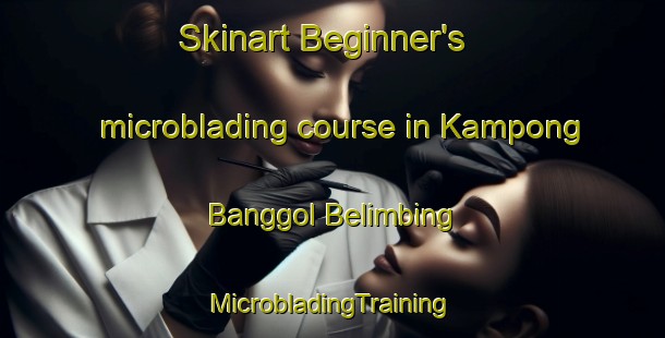 Skinart Beginner's microblading course in Kampong Banggol Belimbing | #MicrobladingTraining #MicrobladingClasses #SkinartTraining-Malaysia