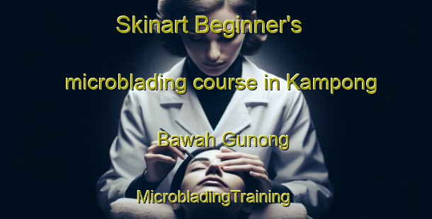 Skinart Beginner's microblading course in Kampong Bawah Gunong | #MicrobladingTraining #MicrobladingClasses #SkinartTraining-Malaysia