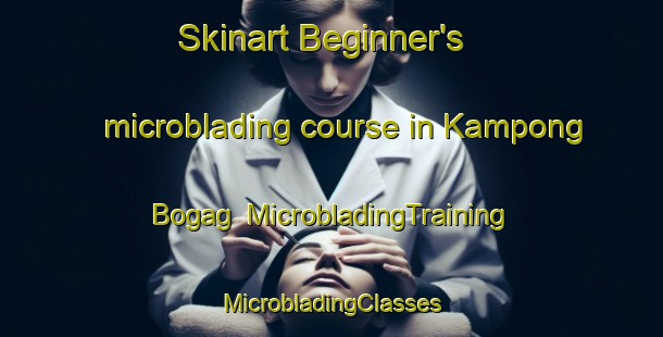 Skinart Beginner's microblading course in Kampong Bogag | #MicrobladingTraining #MicrobladingClasses #SkinartTraining-Malaysia