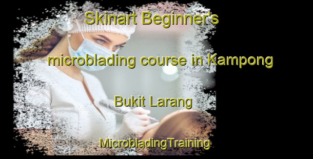 Skinart Beginner's microblading course in Kampong Bukit Larang | #MicrobladingTraining #MicrobladingClasses #SkinartTraining-Malaysia