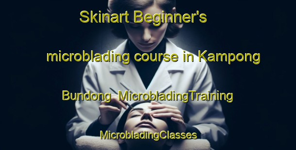 Skinart Beginner's microblading course in Kampong Bundong | #MicrobladingTraining #MicrobladingClasses #SkinartTraining-Malaysia