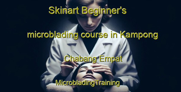 Skinart Beginner's microblading course in Kampong Chabang Empat | MicrobladingTraining | MicrobladingClasses | SkinartTraining-Malaysia