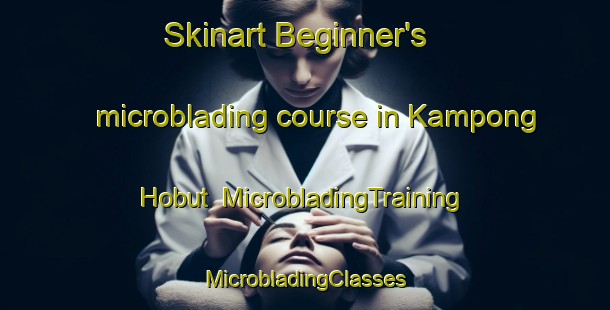 Skinart Beginner's microblading course in Kampong Hobut | #MicrobladingTraining #MicrobladingClasses #SkinartTraining-Malaysia