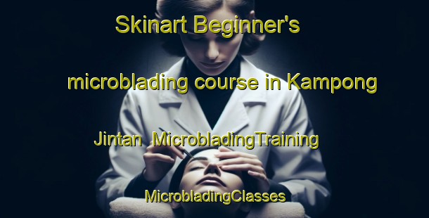 Skinart Beginner's microblading course in Kampong Jintan | #MicrobladingTraining #MicrobladingClasses #SkinartTraining-Malaysia