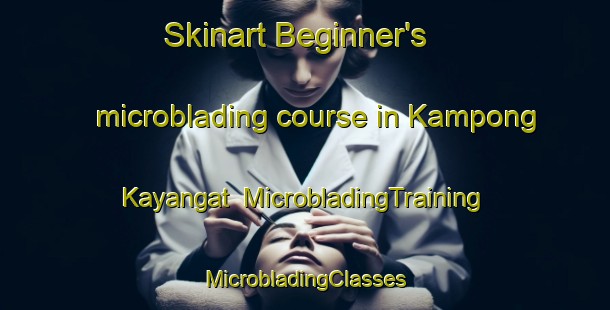 Skinart Beginner's microblading course in Kampong Kayangat | #MicrobladingTraining #MicrobladingClasses #SkinartTraining-Malaysia