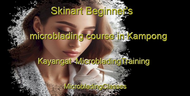 Skinart Beginner's microblading course in Kampong Kayangat | #MicrobladingTraining #MicrobladingClasses #SkinartTraining-Malaysia