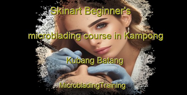 Skinart Beginner's microblading course in Kampong Kubang Batang | #MicrobladingTraining #MicrobladingClasses #SkinartTraining-Malaysia