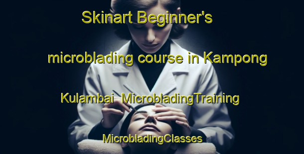 Skinart Beginner's microblading course in Kampong Kulambai | #MicrobladingTraining #MicrobladingClasses #SkinartTraining-Malaysia