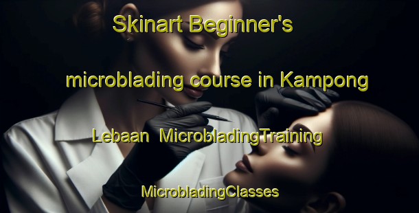 Skinart Beginner's microblading course in Kampong Lebaan | #MicrobladingTraining #MicrobladingClasses #SkinartTraining-Malaysia