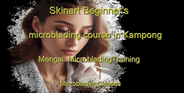 Skinart Beginner's microblading course in Kampong Mengai | MicrobladingTraining | MicrobladingClasses | SkinartTraining-Malaysia