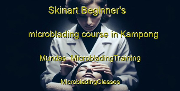 Skinart Beginner's microblading course in Kampong Mundas | #MicrobladingTraining #MicrobladingClasses #SkinartTraining-Malaysia