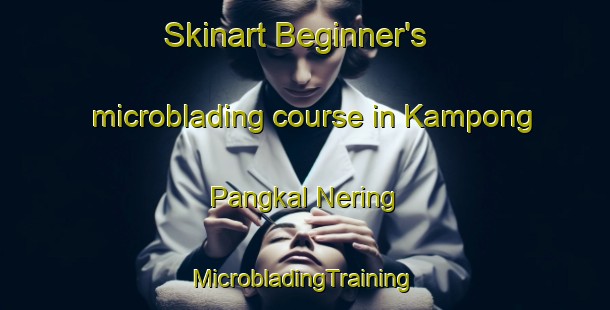 Skinart Beginner's microblading course in Kampong Pangkal Nering | #MicrobladingTraining #MicrobladingClasses #SkinartTraining-Malaysia