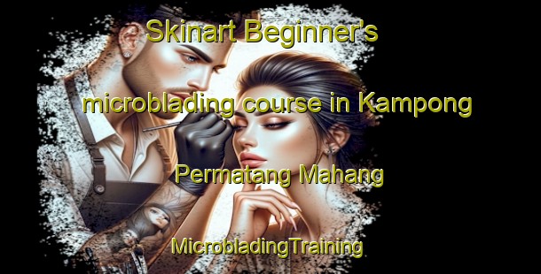 Skinart Beginner's microblading course in Kampong Permatang Mahang | #MicrobladingTraining #MicrobladingClasses #SkinartTraining-Malaysia