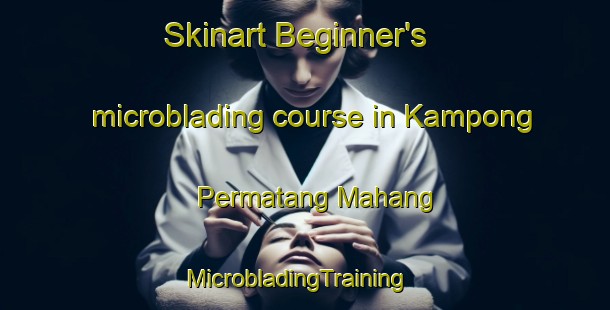 Skinart Beginner's microblading course in Kampong Permatang Mahang | MicrobladingTraining | MicrobladingClasses | SkinartTraining-Malaysia
