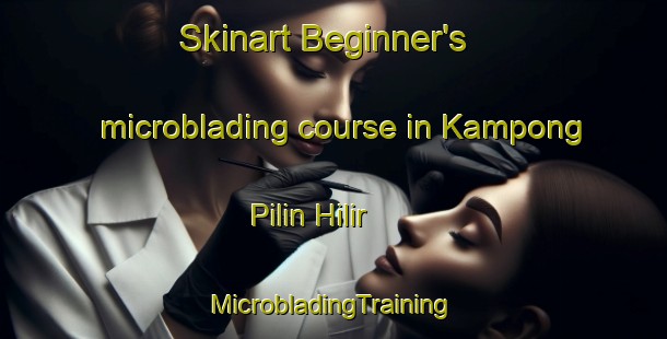 Skinart Beginner's microblading course in Kampong Pilin Hilir | #MicrobladingTraining #MicrobladingClasses #SkinartTraining-Malaysia