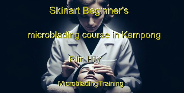 Skinart Beginner's microblading course in Kampong Pilin Hilir | #MicrobladingTraining #MicrobladingClasses #SkinartTraining-Malaysia