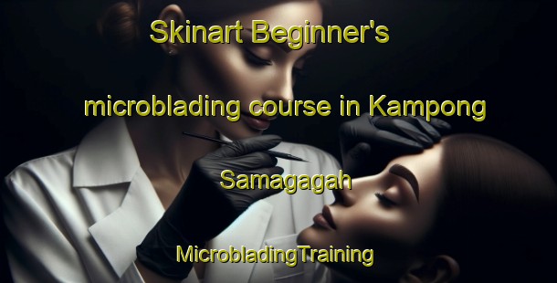 Skinart Beginner's microblading course in Kampong Samagagah | #MicrobladingTraining #MicrobladingClasses #SkinartTraining-Malaysia