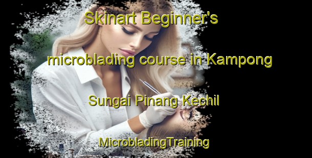 Skinart Beginner's microblading course in Kampong Sungai Pinang Kechil | #MicrobladingTraining #MicrobladingClasses #SkinartTraining-Malaysia