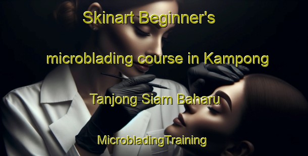 Skinart Beginner's microblading course in Kampong Tanjong Siam Baharu | #MicrobladingTraining #MicrobladingClasses #SkinartTraining-Malaysia