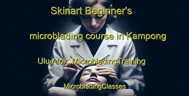 Skinart Beginner's microblading course in Kampong Ulu Atok | #MicrobladingTraining #MicrobladingClasses #SkinartTraining-Malaysia