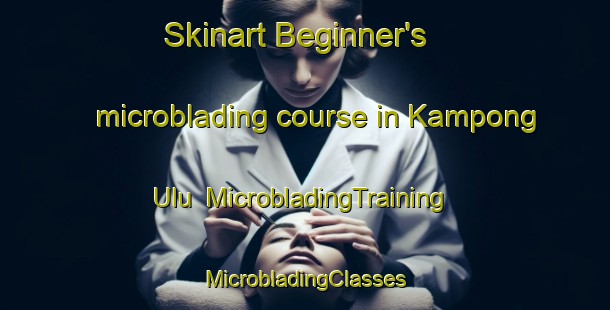 Skinart Beginner's microblading course in Kampong Ulu | #MicrobladingTraining #MicrobladingClasses #SkinartTraining-Malaysia