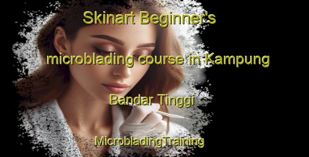 Skinart Beginner's microblading course in Kampung Bandar Tinggi | MicrobladingTraining | MicrobladingClasses | SkinartTraining-Malaysia