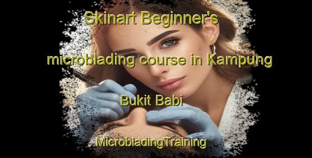 Skinart Beginner's microblading course in Kampung Bukit Babi | MicrobladingTraining | MicrobladingClasses | SkinartTraining-Malaysia
