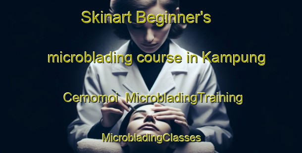 Skinart Beginner's microblading course in Kampung Cemomoi | #MicrobladingTraining #MicrobladingClasses #SkinartTraining-Malaysia