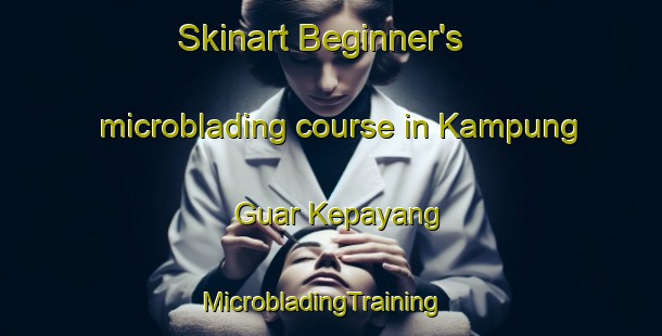 Skinart Beginner's microblading course in Kampung Guar Kepayang | MicrobladingTraining | MicrobladingClasses | SkinartTraining-Malaysia