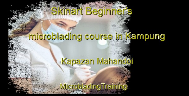 Skinart Beginner's microblading course in Kampung Kapazan Mahandoi | #MicrobladingTraining #MicrobladingClasses #SkinartTraining-Malaysia