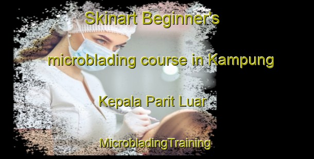 Skinart Beginner's microblading course in Kampung Kepala Parit Luar | #MicrobladingTraining #MicrobladingClasses #SkinartTraining-Malaysia