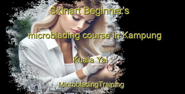 Skinart Beginner's microblading course in Kampung Kuala Yai | #MicrobladingTraining #MicrobladingClasses #SkinartTraining-Malaysia