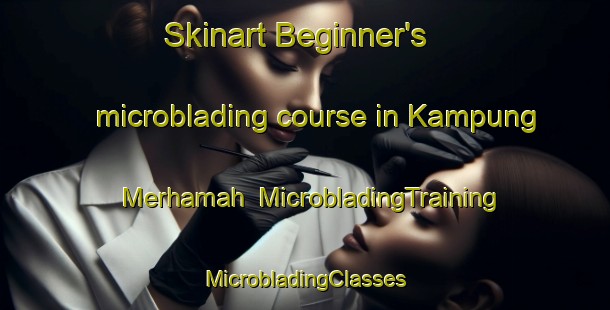 Skinart Beginner's microblading course in Kampung Merhamah | #MicrobladingTraining #MicrobladingClasses #SkinartTraining-Malaysia