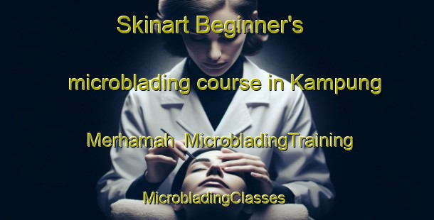 Skinart Beginner's microblading course in Kampung Merhamah | MicrobladingTraining | MicrobladingClasses | SkinartTraining-Malaysia