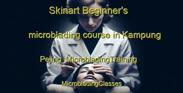 Skinart Beginner's microblading course in Kampung Pejing | #MicrobladingTraining #MicrobladingClasses #SkinartTraining-Malaysia