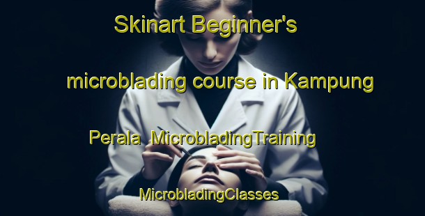 Skinart Beginner's microblading course in Kampung Perala | MicrobladingTraining | MicrobladingClasses | SkinartTraining-Malaysia