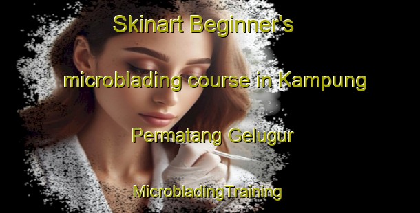 Skinart Beginner's microblading course in Kampung Permatang Gelugur | #MicrobladingTraining #MicrobladingClasses #SkinartTraining-Malaysia