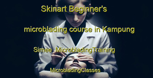 Skinart Beginner's microblading course in Kampung Simee | MicrobladingTraining | MicrobladingClasses | SkinartTraining-Malaysia