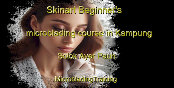 Skinart Beginner's microblading course in Kampung Solok Ayer Pauh | #MicrobladingTraining #MicrobladingClasses #SkinartTraining-Malaysia