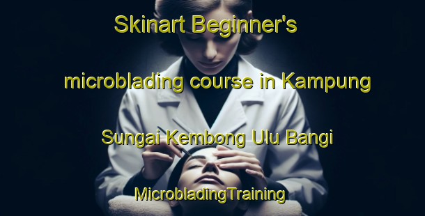 Skinart Beginner's microblading course in Kampung Sungai Kembong Ulu Bangi | #MicrobladingTraining #MicrobladingClasses #SkinartTraining-Malaysia