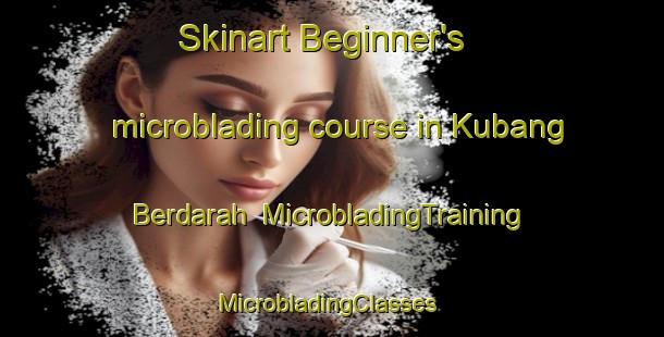 Skinart Beginner's microblading course in Kubang Berdarah | MicrobladingTraining | MicrobladingClasses | SkinartTraining-Malaysia