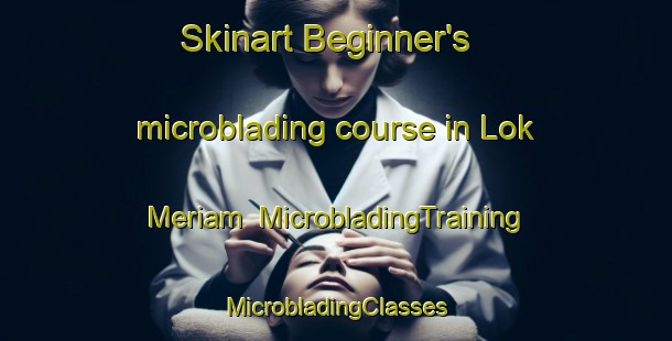 Skinart Beginner's microblading course in Lok Meriam | #MicrobladingTraining #MicrobladingClasses #SkinartTraining-Malaysia