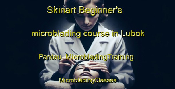 Skinart Beginner's microblading course in Lubok Pantau | #MicrobladingTraining #MicrobladingClasses #SkinartTraining-Malaysia